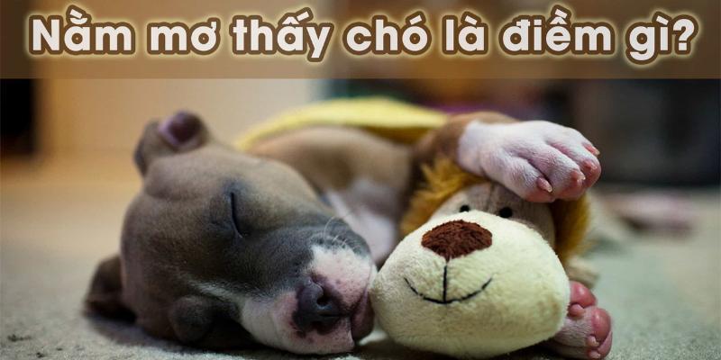 Chiêm bao về chó con báo hiệu điềm gì với anh em lô đề