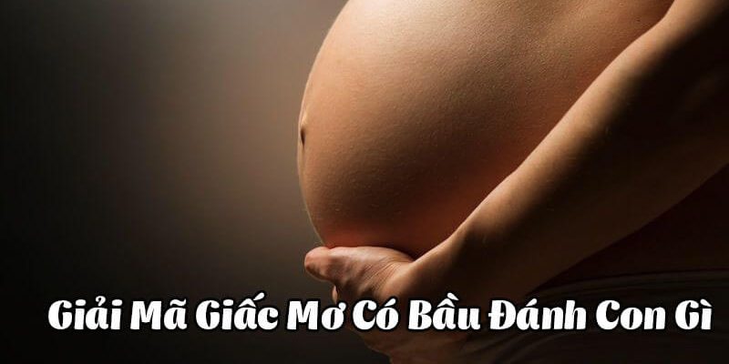 Chiêm bao về giấc mơ có bầu mang ý nghĩa là gì?